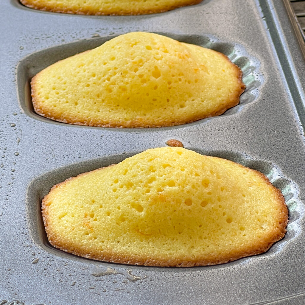 Baked Madeleines after batter was sitting in refrigerator shows the characteristic bump