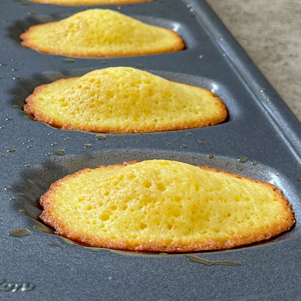 Madeleines with a smaller bump in the baking sheet after no refrigeration of batter
